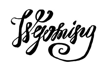 Fototapeta na wymiar USA States vector name phrase. Brush calligraphy of the Wyoming. Hand-drawn typography of the USA with the name of the state. Modern brush ink lettering. America typographic sign.