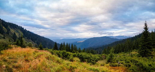 Fototapeta na wymiar Mountains forrest panorama, evening with beautiful clouds and fir trees scene. Autumn background. Trekking and hiking summer travel nature landscape background.