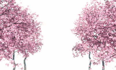 Obraz na płótnie Canvas 3D Rendering of trees with lots of pink blossom flowers on isolated white background with copy space at center.