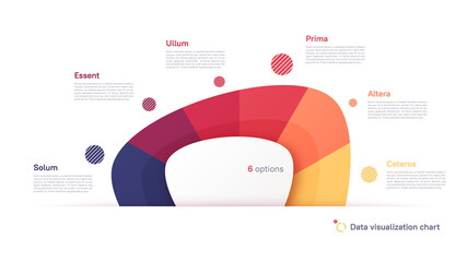 Vector pie chart infographic template in the form of abstract shape divided by six parts