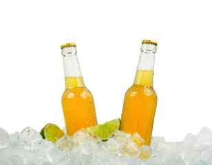 Two bottles of lager beer on ice cubes