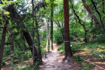 Hongneung arboretum in Seoul