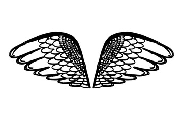 Hand drawn angel or bird wing. Monochrome drawing element isolated on white background. Vector illustration.