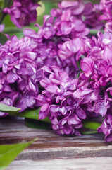 background with lilac, flowering purple lilac, sprig of purple lilac on a wooden background, lilac flowers