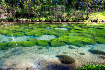 Forest river with clear water, beautiful landscape in Russia.