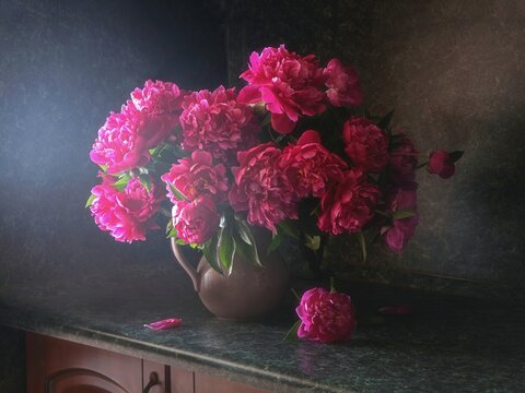 Still life with pink  peonies