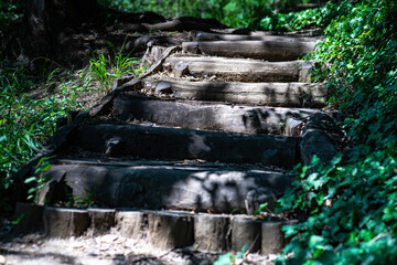 Stairway in a summer garden