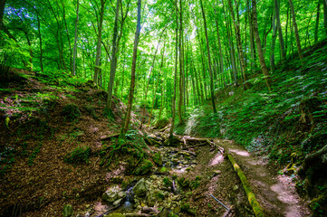 Zipfelbachtal close to Breitenstein at Weilheim Teck, Swabian Alb, Germany
