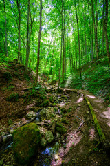Zipfelbachtal close to Breitenstein at Weilheim Teck, Swabian Alb, Germany