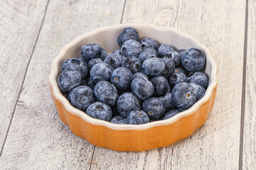 Fototapeta na wymiar Sweet fresh juicy blueberries heap
