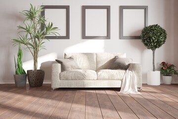 modern room with sofa,pillows,plaid,plants and frames