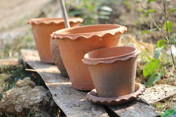 Plant pots placed on wood.