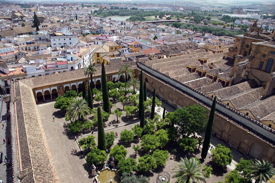 Court of the orange trees, Mosque of Cordova is part of the Cathedral Mosque of Cordoba, and is undoubtedly the largest and oldest courtyard of the city of the year 786.