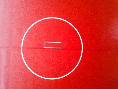Overhead aerial view of an empty wrestling mat