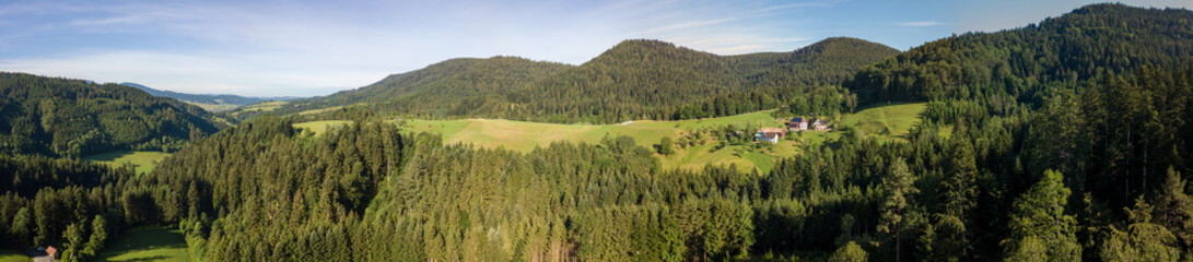Schwarzwald an der Gallussäge Oberharmersbach