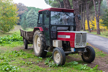 Obraz premium Autumn view in Ataturk Arboretum in Istanbul, Turkey.