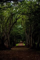 Gran Canaria desde arriba