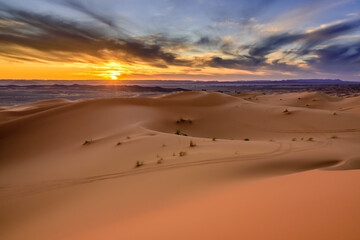 Fototapeta na wymiar Dramatic and colorful sunset at The Sahara desert: Earth's Largest Hot Desert