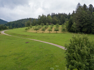 Naklejka premium Schwarzwald an der Gallussäge Oberharmersbach