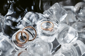 Elegant wedding accessories of an attractive bride. Wedding rings in ice cubes. Copy space for text. Background for greeting card or invitation.