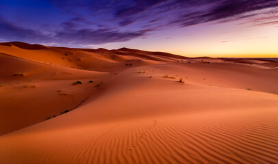 Obraz na płótnie Canvas Dramtic and colorful sunrise at the Sahara desert: Earth's Largest Hot Desert