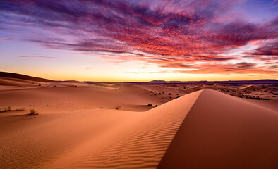 Dramtic and colorful sunrise at the Sahara desert:  Earth's Largest Hot Desert