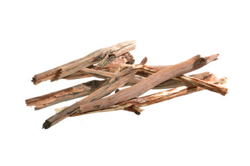 dry oak branch isolated on white background
