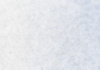 Obraz premium 和紙_青海波8_白青