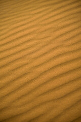 The Sahara: Earth's Largest Hot Desert