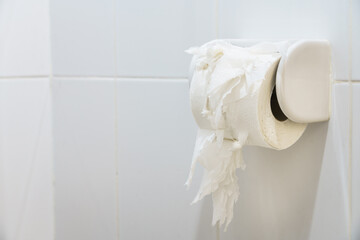 A roll of toilet paper in the toilet that is torn from being scratched by a cat.