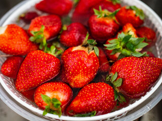Strawberries in dish during rinsing