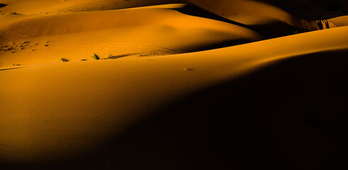 Fototapeta na wymiar The Sahara: Earth's Largest Hot Desert