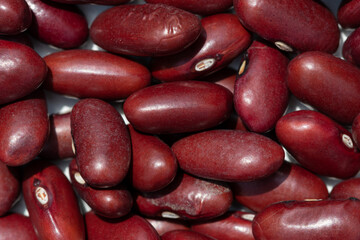 Solid background of red dry bean kernels close-up