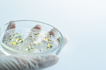 Research of viruses and bacteria, researcher holds a Petri dish with a sample.