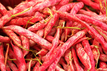 Close up of borlotti beans and pods, grown in Italy.