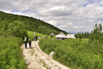 Dolina Gąsienicowa, Tatrzański Park Narodowy, Hala Gąsienicowa