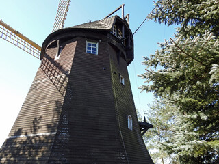 wybudowany pod koniec 19 wieku drewniany mlyn wiatrak typu holender w miejscowosci studzianki na podlasiu w polsce  © Jacek Sakowicz