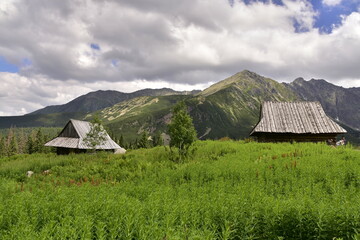 Fototapeta na wymiar Dolina Gąsienicowa, Tatrzański Park Narodowy, Hala Gąsienicowa