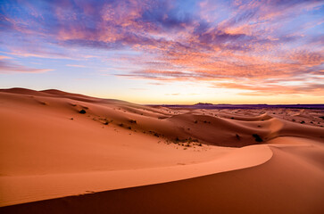Obraz na płótnie Canvas Dramtic and colorful sunrise at the Sahara desert: Earth's Largest Hot Desert