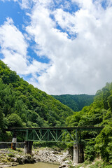 Fototapeta na wymiar 高山本線 宮川にかかる鉄橋と新緑の風景（縦構図）