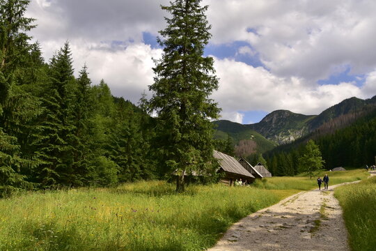 Dolina Jaworzynki, Tatry, Tatrzański Park Narodowy, lato w Tatrach 