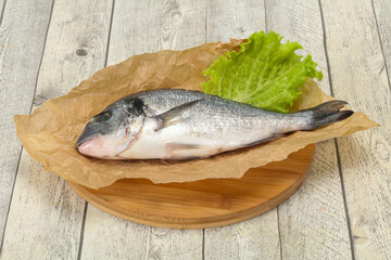 Raw Dorada fish  for cooking