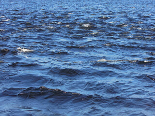 Naklejka premium The waves, the foam and the rollers on the water surface of Ladoga lake, Russia