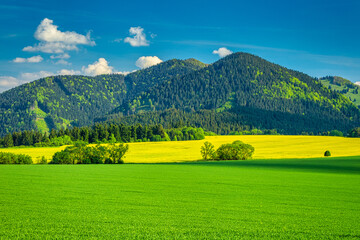 Spring rural landscape with grassy green meadows and rapeseed fields. Rajec valley in Slovakia, Europe.