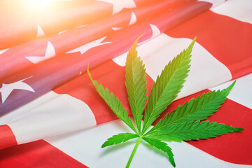 Green hemp leaf on the star-spangled flag of the United States of America with a bright Sunny dawn.