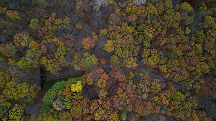 Children's train operate by children in Budapest. Forest train in amazing autumn colors. Bright lights, fantastic mood. The hills of Hungary.