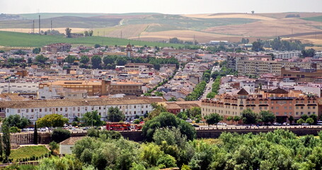 Obraz premium Widok z powietrza na miasto i dachy kamienic z Alcazaru. Andaluzja. Hiszpania. Cordoba.