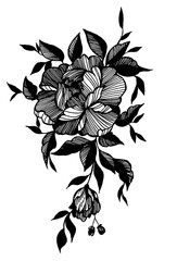 Black and white peony with black leaves tattoo sketch, hand drawn illustration on the white background