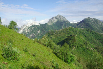 mountain landscape in summer