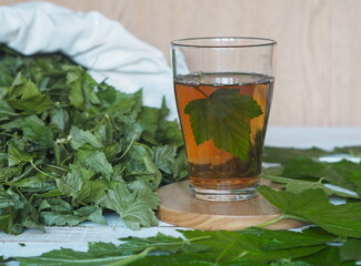 The season of collecting young leaves of blackcurrant for drying and use as tea. Leaves of fresh currant, a glass of loose tea on a white wooden table.